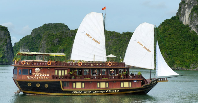 halong white dolphin cruise