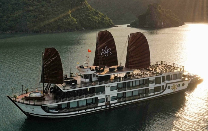 Orchid Trendy cruise