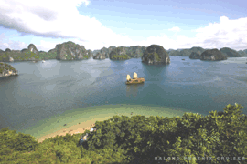 Phoenix Cruise on Halong Bay