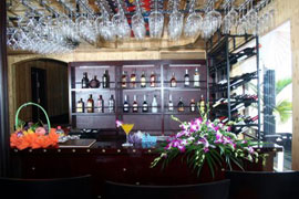 Bar White Dolphin