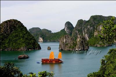 Overview of the Ginger Halong