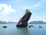 Hon Con Coc, Halong bay guide