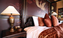 Room on board Violet cruises